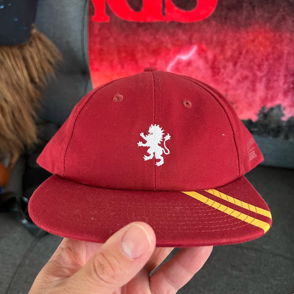 Harry Potter Vans hat